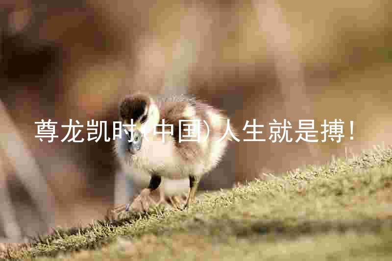 尊龙凯时(中国)人生就是搏!
