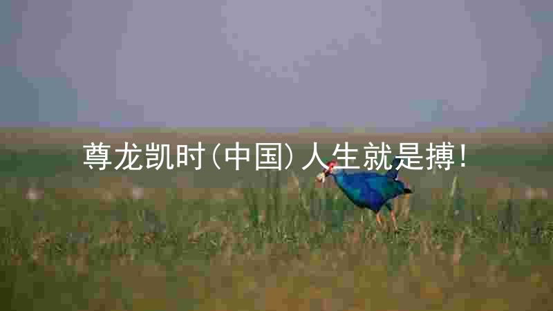 尊龙凯时(中国)人生就是搏!