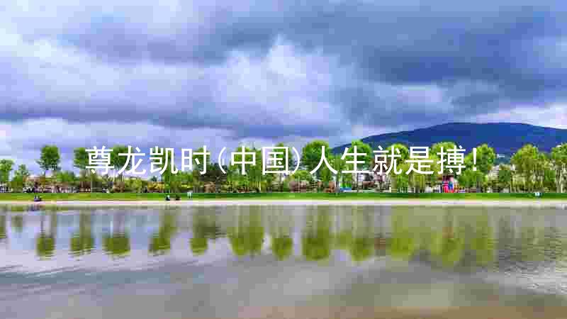 尊龙凯时(中国)人生就是搏!