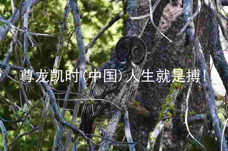 尊龙凯时(中国)人生就是搏!