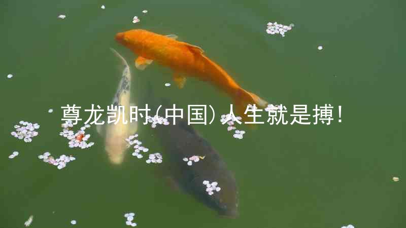 尊龙凯时(中国)人生就是搏!