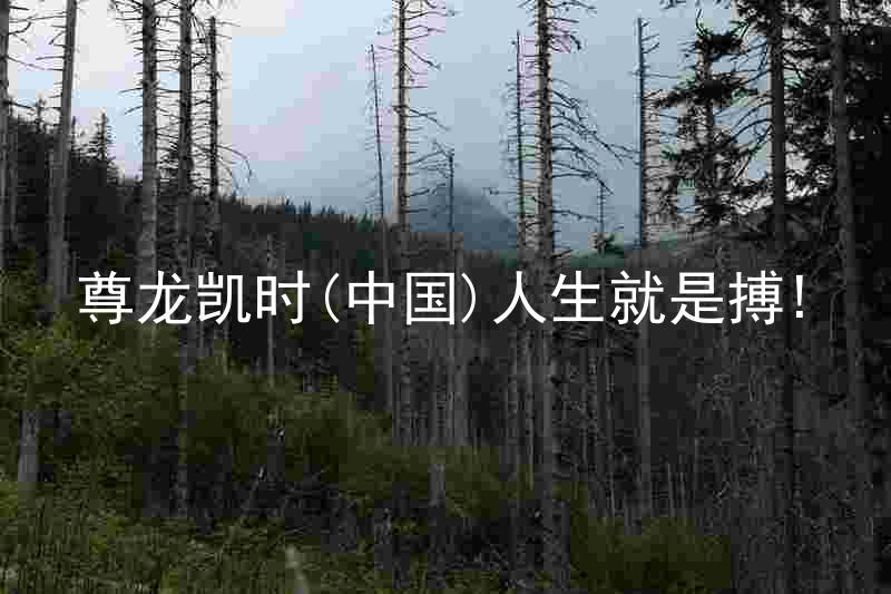 尊龙凯时(中国)人生就是搏!