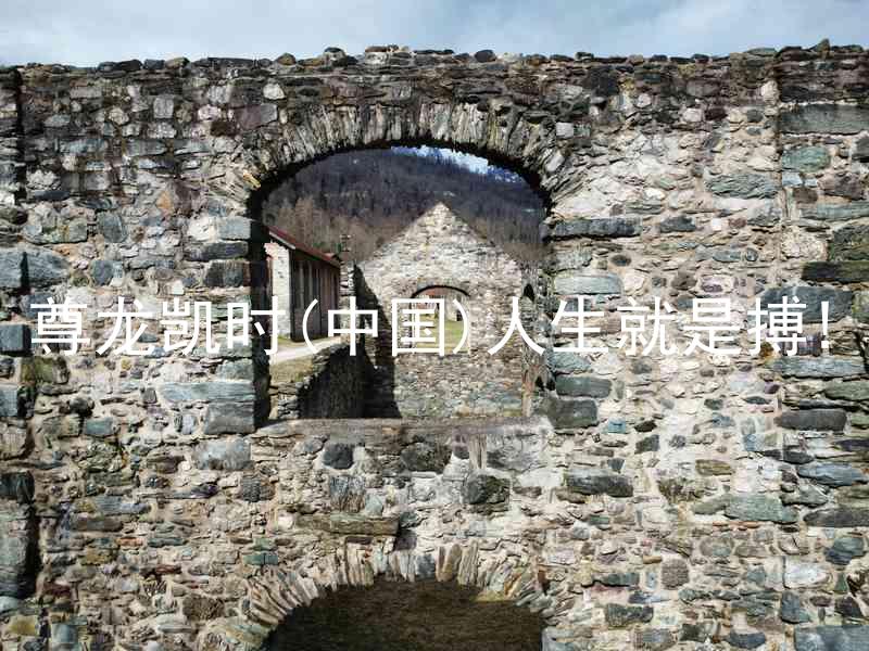 尊龙凯时(中国)人生就是搏!