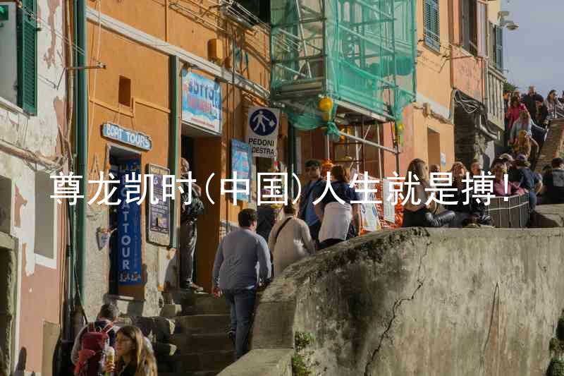 尊龙凯时(中国)人生就是搏!