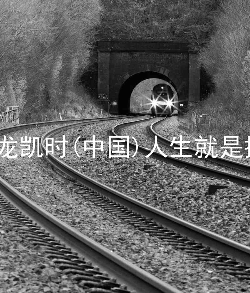 尊龙凯时(中国)人生就是搏!