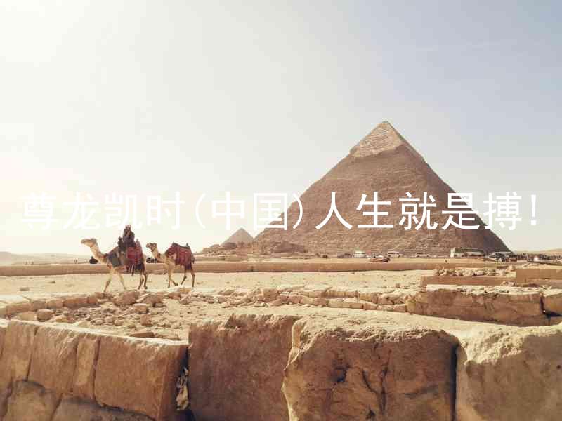 尊龙凯时(中国)人生就是搏!