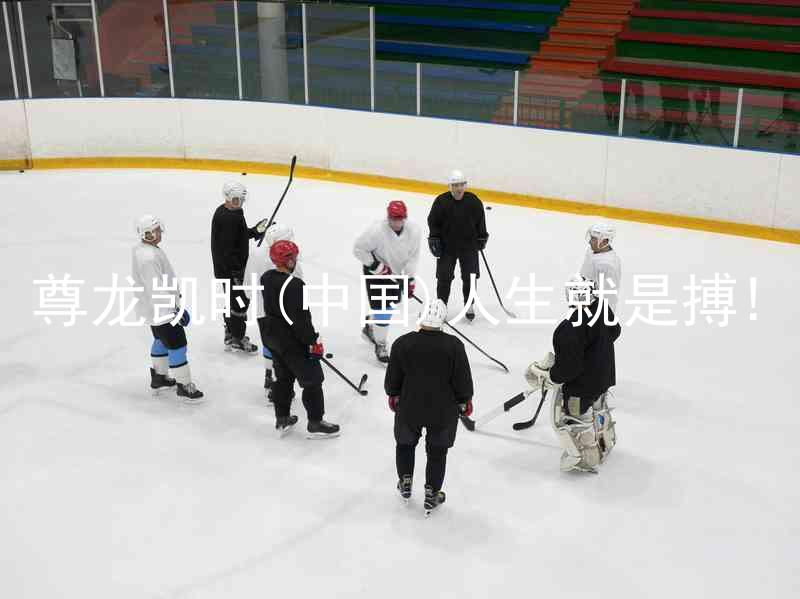 尊龙凯时(中国)人生就是搏!